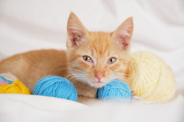 Fototapeta na wymiar cute ginger cat and different colored balls of thread on the background of white bed linen
