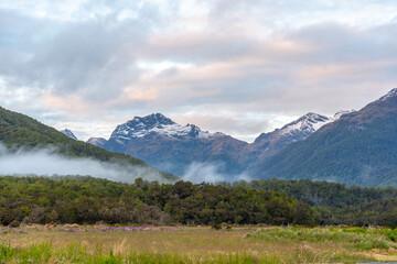Beautiful alpine landscape in a valley to Milford Sound, New Zealand