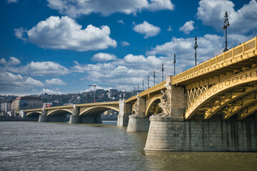 Naklejka premium bridge over the river
