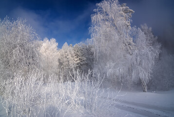 winter landscape with a snow-covered forest in the Urals, Russia