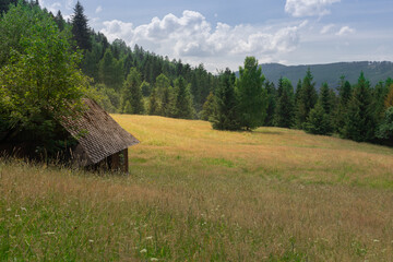 Polana wśród lasu z drewnianą chatą, Szczyrk.