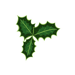 holly leaves, berries, set color2 dd ww