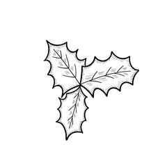 holly leaves, set, sketch 2 dd ww isol
