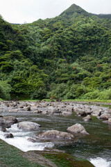 Tahiti.Tropical nature and mountain river.