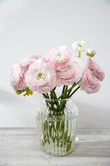 the bouquet of pale pink Persian buttercups in the glass vase on the table against the background .