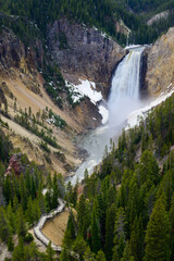 Fototapeta na wymiar Lower Falls of the Yellowstone River in the Grand Canyon of the Yellowstone from Lookout Point in Yellowstone National Park