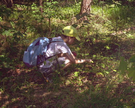 Summer holidays: a diabetic boy with a hiking backpack picks berries in the forest. Concept of children life with diabetes and regular glycemic control. Children's camping in the open air on vacation