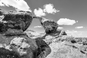 Bottom view of unique sandstone arch in pine forest on dry sunny summer day. Bohemian Paradise, Czech Republic. Black and white image.