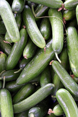 organic and fresh cucumbers in a market