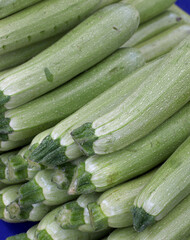 organic and fresh zucchini on market stall