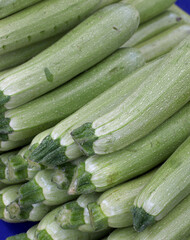 organic and fresh zucchini on market stall