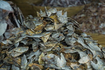dried fish in the market