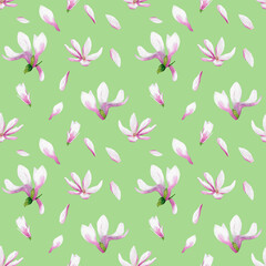 Fototapeta na wymiar Magnolia flowers pattern on pastel green background