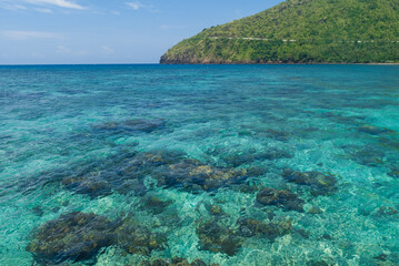 Fototapeta na wymiar coral reef and sea