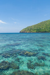 Naklejka premium tropical island