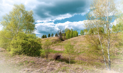Spring landscape with young birch trees growing on the slope of a ravine against the background of the spring sky