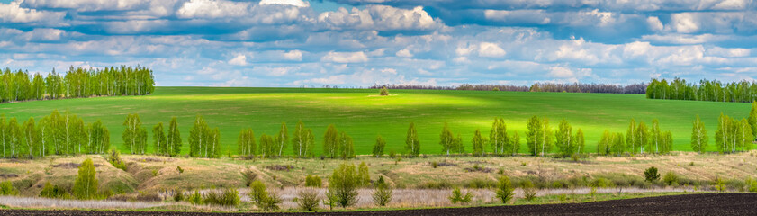 Landscape with agricultural fields located on the slopes of a ravine, panorama
