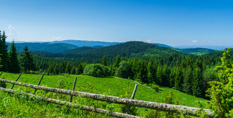 Fototapeta na wymiar landscape with trees and fence