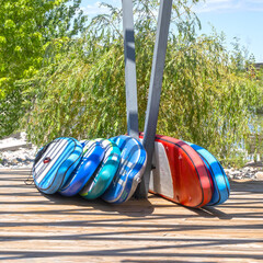 Free sap boarding boards on the pier near the water against the background of trees