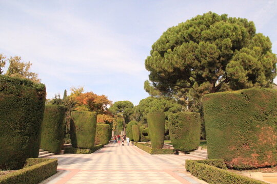 Madrid garden in retiro park
