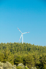 Wind turbines installed for clean energy in the green forest. energy wind roses that do not pollute...