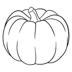 Vegetarian food. Ripe pumpkin. Harvest. Halloween. Line style.