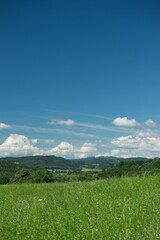 field and blue sky