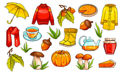 Autumn set. Large collection of autumn items.