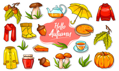 Autumn set. Large collection of autumn items.