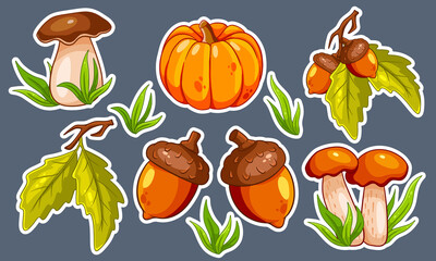 Autumn set. Mushrooms, pumpkin, acorns, grass, oak leaves.