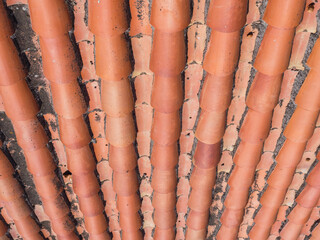 Red roof background with repeating patterns