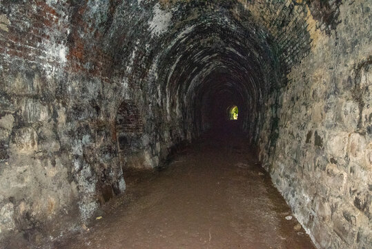 Hiking to Tunnel hill near Owaka, New Zealand