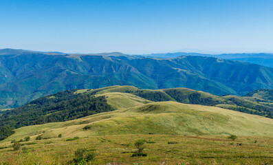 Grassy meadow