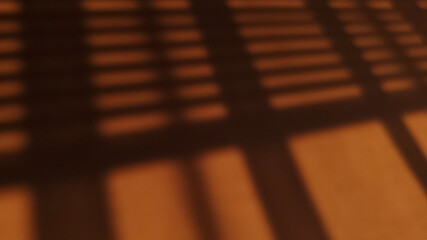 shadow blinds2