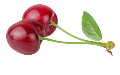 Cherries isolated on a white background