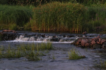 river in the woods