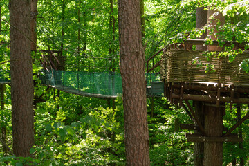 Rope footbridges located in the forest a high altitude among the lush foliage of trees....