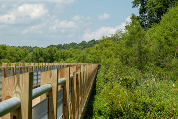 wooden bridge over the lake