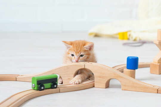 cute little ginger funny kitten cat playing at home in the nursery with children's toys paravoz on a wooden railroad. High quality photo