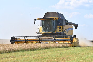 combine harvester working on the field