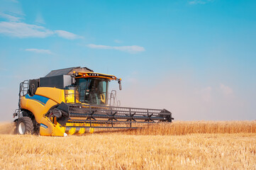 Modern yellow combine harvesting wheat in the summer. Agricultural machine harvester working in the field.