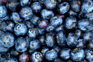 Lots of fresh, bright blueberries