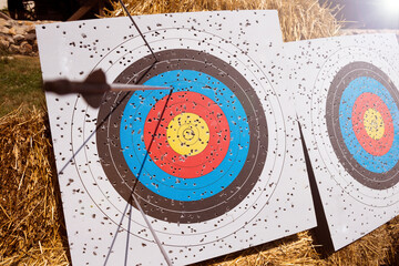 Archery target board with arrows