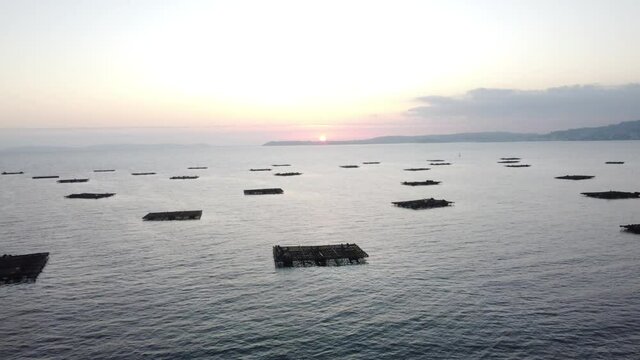 Criadero de mejillones. Bateas en Galicia al atardecer. Marisco. Marineros. vista de dron