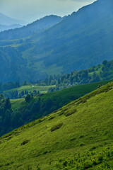 Fototapeta premium Landscape