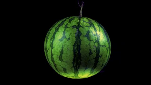 A round watermelon rotating on a black background shot in 4K