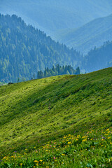 Obraz premium Landscape