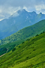 Fototapeta premium Landscape