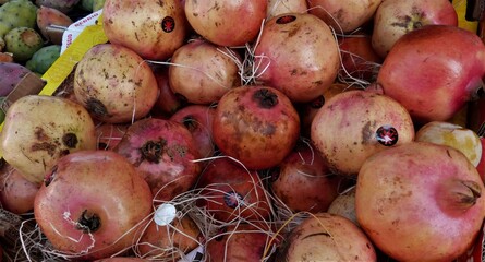 Rote Granatäpfel