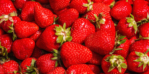 Strawberry background, fresh ripe fruits, summer food background
